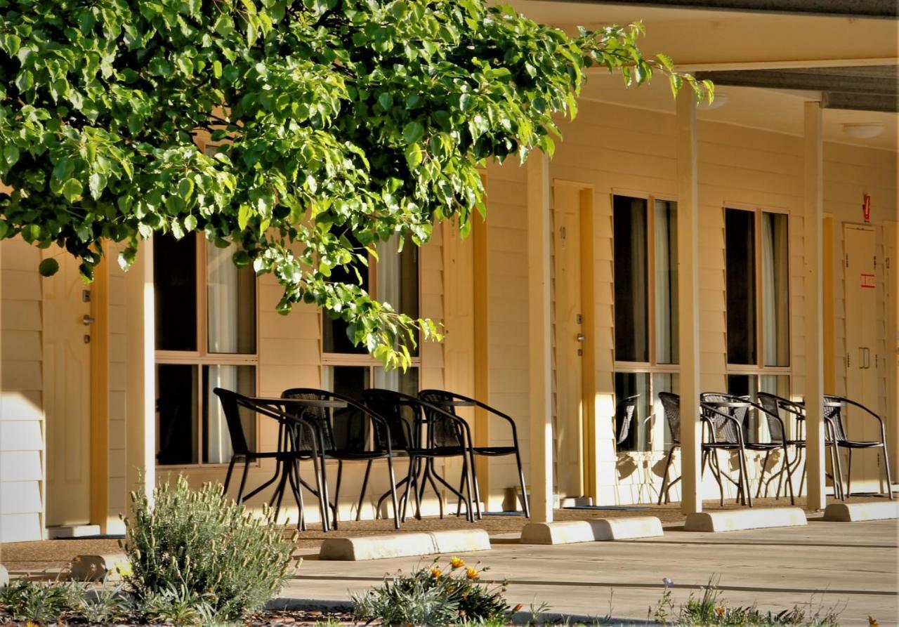 Pittsworth Motor Inn Εξωτερικό φωτογραφία